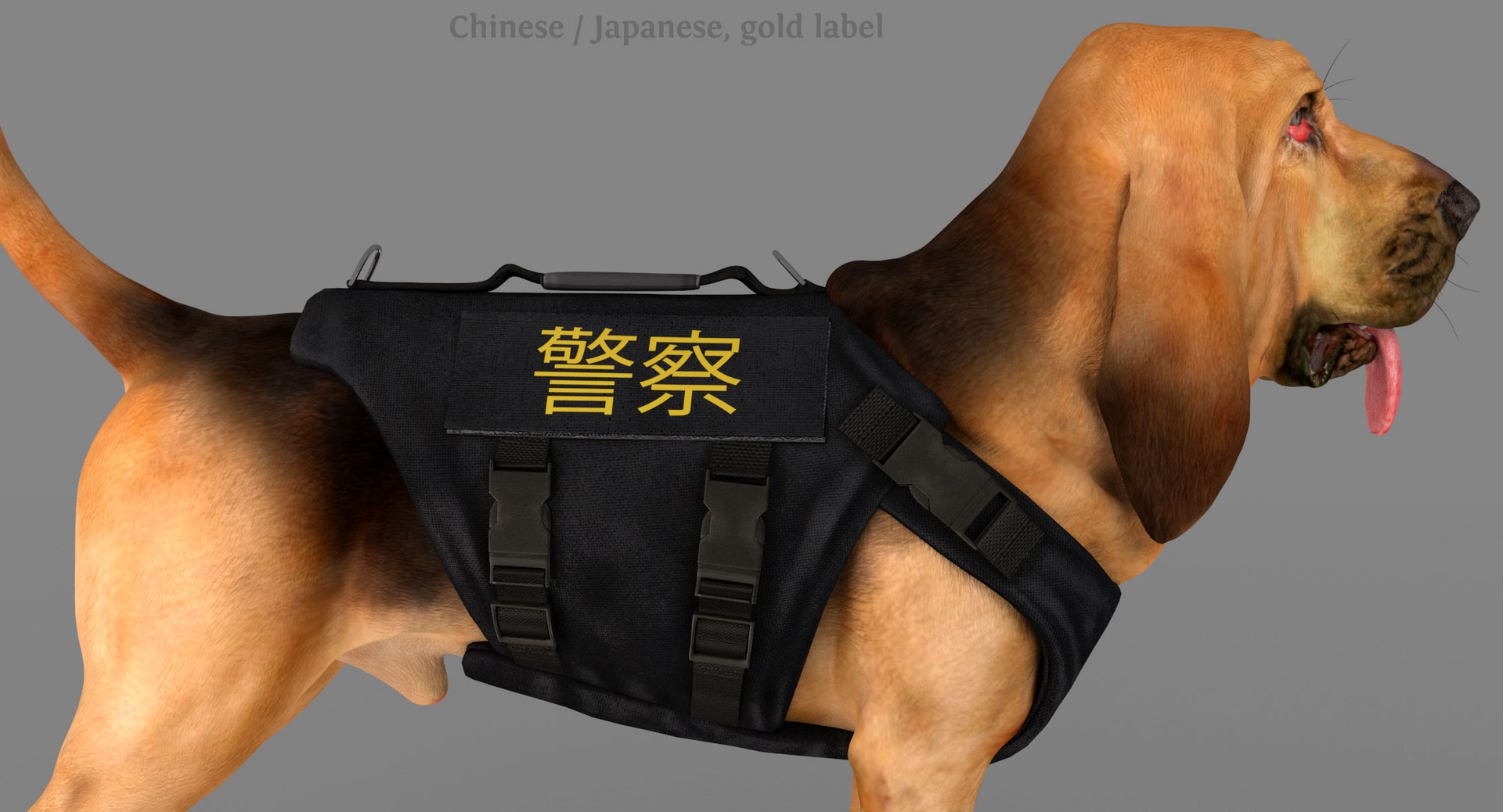 bloodhound black tan body armor 3d model https://p.turbosquid.com/ts-thumb/hO/nvuVXH/BMDMPPxK/c2/jpg/1438052263/1920x1080/fit_q87/b98e6900e8f594f72ce96b44943c1ec8af122cb0/c2.jpg