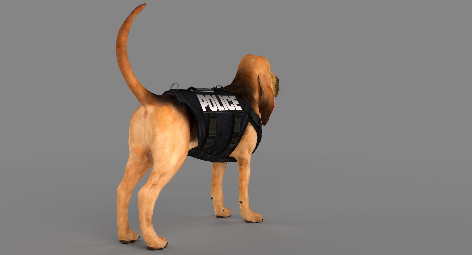 bloodhound black tan body armor 3d model https://p.turbosquid.com/ts-thumb/hO/nvuVXH/D1P0OxxU/5/jpg/1438032703/1920x1080/fit_q87/adbd507383f395c6d73f0b751a02d8056d8f9a9f/5.jpg