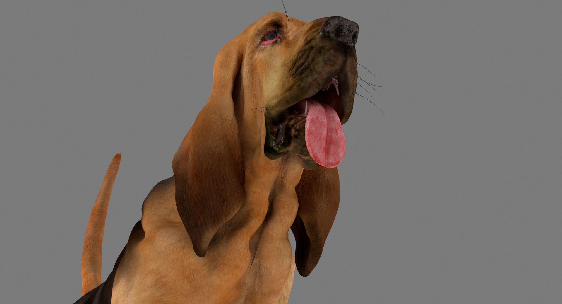 bloodhound black tan body armor 3d model https://p.turbosquid.com/ts-thumb/hO/nvuVXH/F394qEEj/17/jpg/1436960080/1920x1080/fit_q87/1cdeac33f3ad6d0a4d55972e7bd0502c86925608/17.jpg