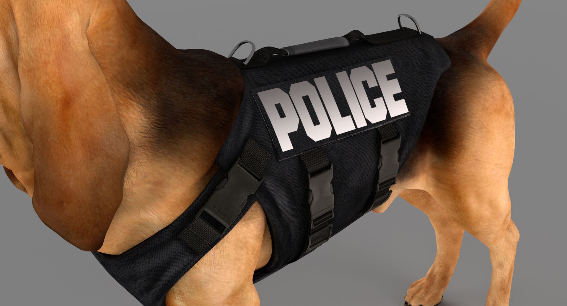 bloodhound black tan body armor 3d model https://p.turbosquid.com/ts-thumb/hO/nvuVXH/FFjYGUGU/9/jpg/1438032703/1920x1080/fit_q87/5473e4c1a7142d3a734b660312cc5d8ade27a25a/9.jpg
