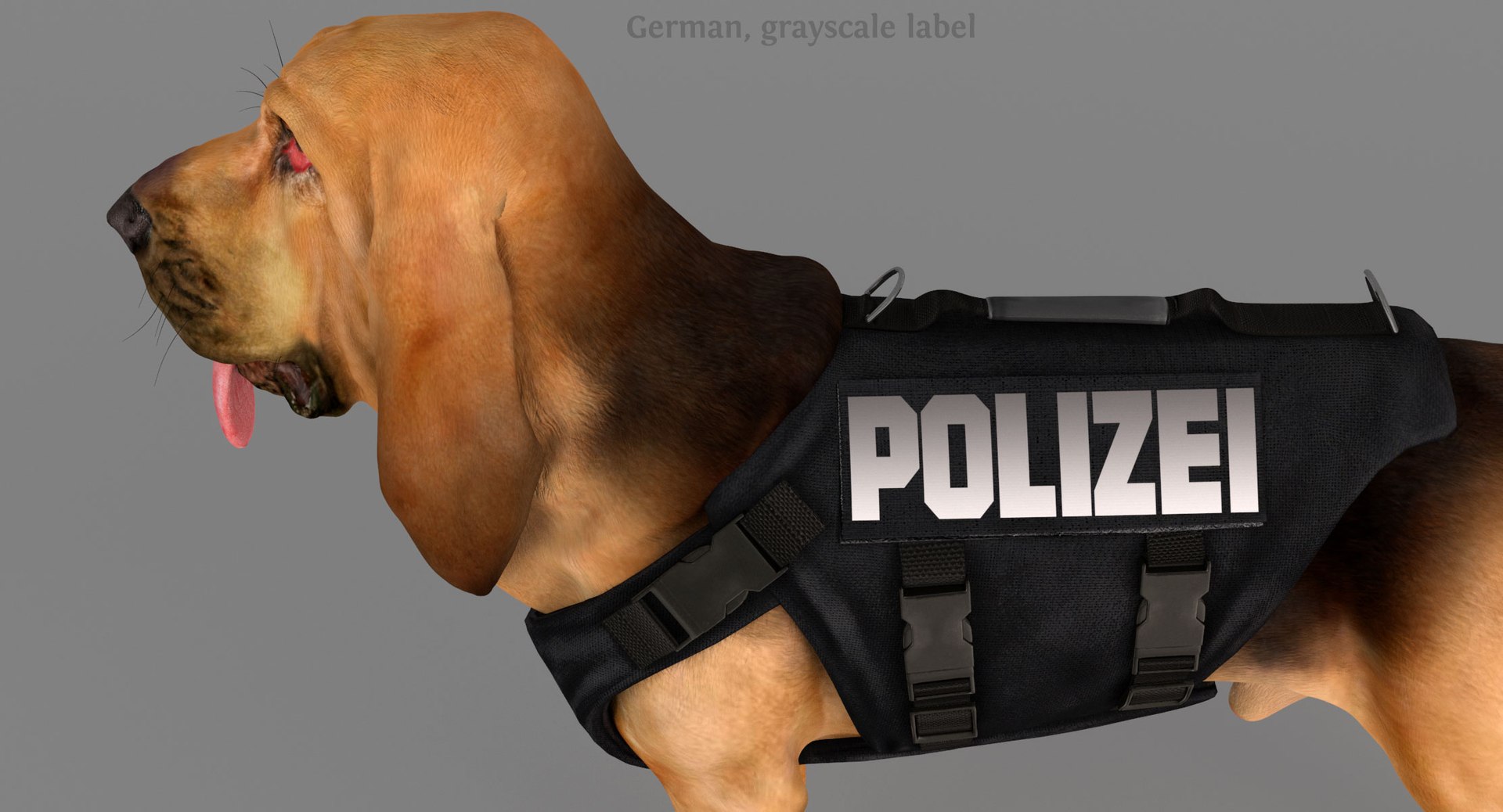 bloodhound black tan body armor 3d model https://p.turbosquid.com/ts-thumb/hO/nvuVXH/L64LaF70/g3/jpg/1438813133/1920x1080/fit_q87/2299e9a173db7463e678a879480a4249656f7463/g3.jpg