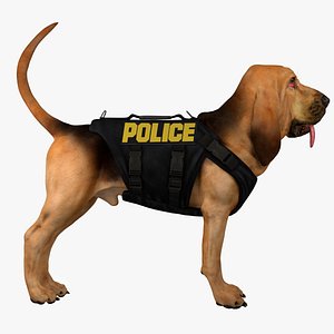 Bloodhound in Body Armor (Black & Tan)