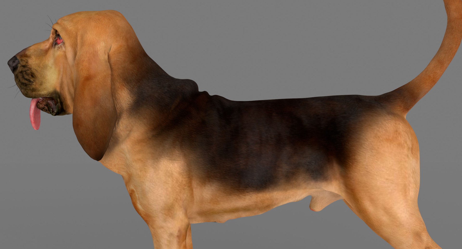 bloodhound black tan body armor 3d model https://p.turbosquid.com/ts-thumb/hO/nvuVXH/P9GEGOu0/8/jpg/1436960080/1920x1080/fit_q87/223c11e8a5996fc6c2967005ba73dc435cffeb4e/8.jpg