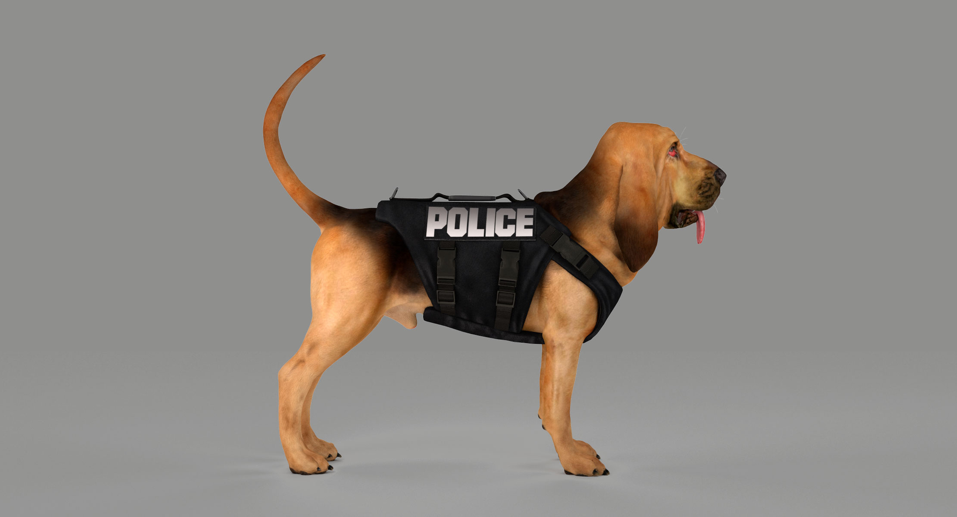 bloodhound black tan body armor 3d model https://p.turbosquid.com/ts-thumb/hO/nvuVXH/TA0MMopm/tun/jpg/1438034796/1920x1080/turn_fit_q99/cbaf074294eea7d6495100776064062bb20d1956/tun-1.jpg