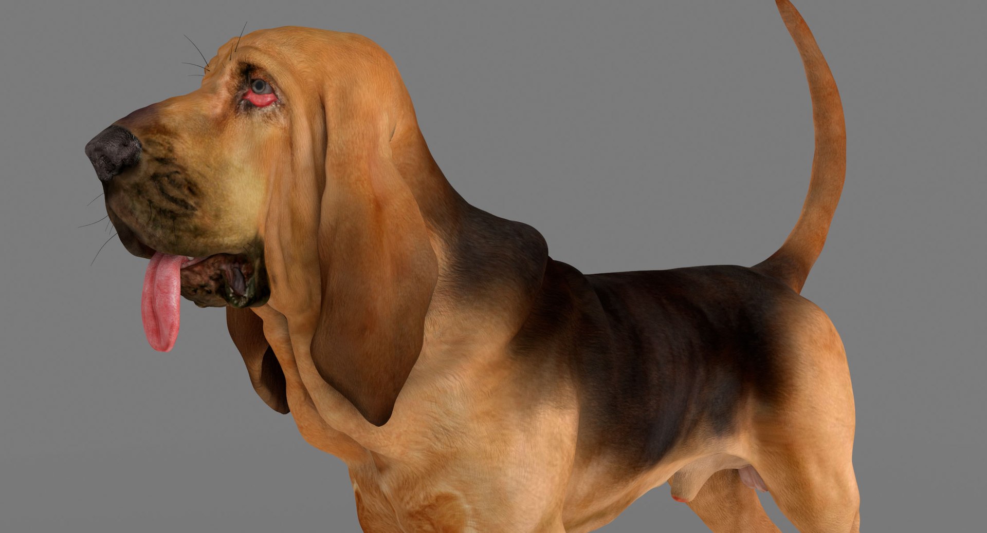 bloodhound black tan body armor 3d model https://p.turbosquid.com/ts-thumb/hO/nvuVXH/VZg1q56h/9/jpg/1436960080/1920x1080/fit_q87/62067154d479826966c14aeb881a630010203f7d/9.jpg