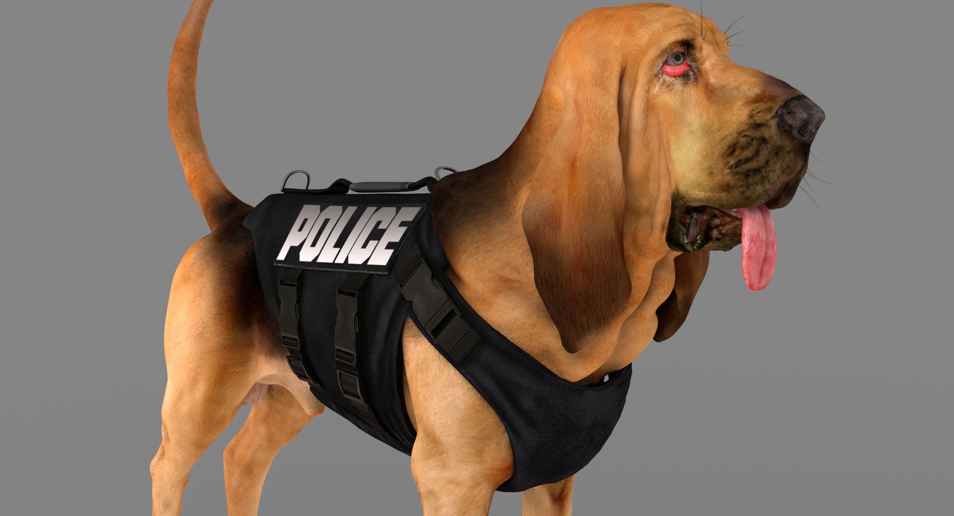 bloodhound black tan body armor 3d model https://p.turbosquid.com/ts-thumb/hO/nvuVXH/WopSEdyg/8/jpg/1438032703/1920x1080/fit_q87/48541ae24be21ae44c02f096eca65662c3877186/8.jpg