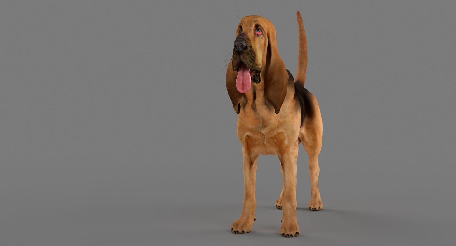 bloodhound black tan body armor 3d model https://p.turbosquid.com/ts-thumb/hO/nvuVXH/YvSk0a60/3/jpg/1436960080/1920x1080/fit_q87/58852becc0bc0778c349b92e29a4850df128aead/3.jpg