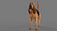 Bloodhound in Körperschutz (Black & Tan)