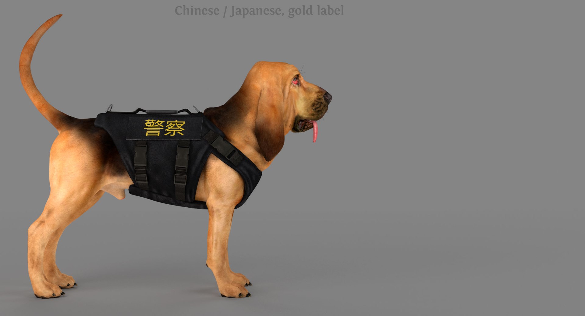 bloodhound black tan body armor 3d model https://p.turbosquid.com/ts-thumb/hO/nvuVXH/gSAwAdlg/c1/jpg/1438052263/1920x1080/fit_q87/f49989a68d81f610f22fbb947ec267b056c7b074/c1.jpg