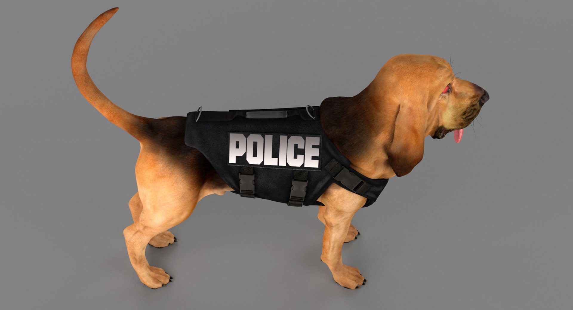 bloodhound black tan body armor 3d model https://p.turbosquid.com/ts-thumb/hO/nvuVXH/ibObKlXe/4/jpg/1438032702/1920x1080/fit_q87/568cac7e9a0f6b933b36ce6b03d13a5080e01d5d/4.jpg