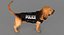 Bloodhound in Körperschutz (Black & Tan)