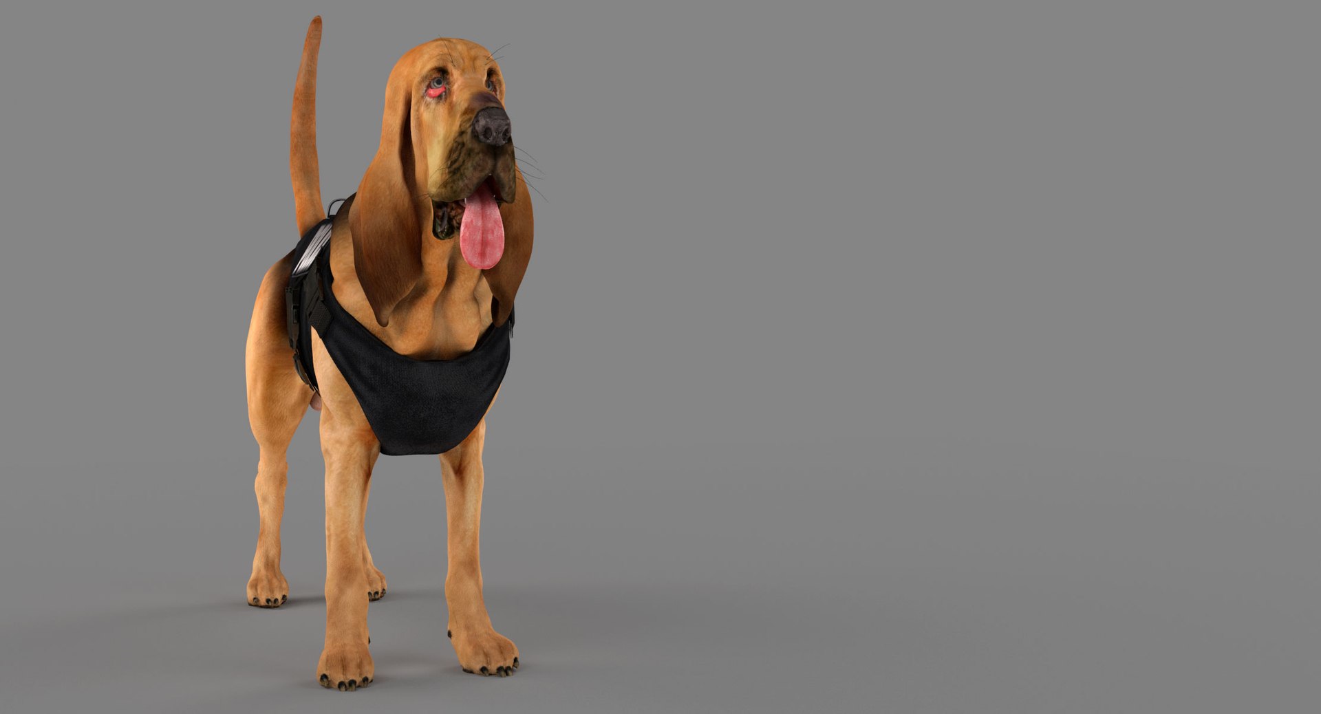 bloodhound black tan body armor 3d model https://p.turbosquid.com/ts-thumb/hO/nvuVXH/kxGBV4mT/3/jpg/1438032702/1920x1080/fit_q87/dcd8d2d1548eff73f3586d1f35785e454aad19a6/3.jpg