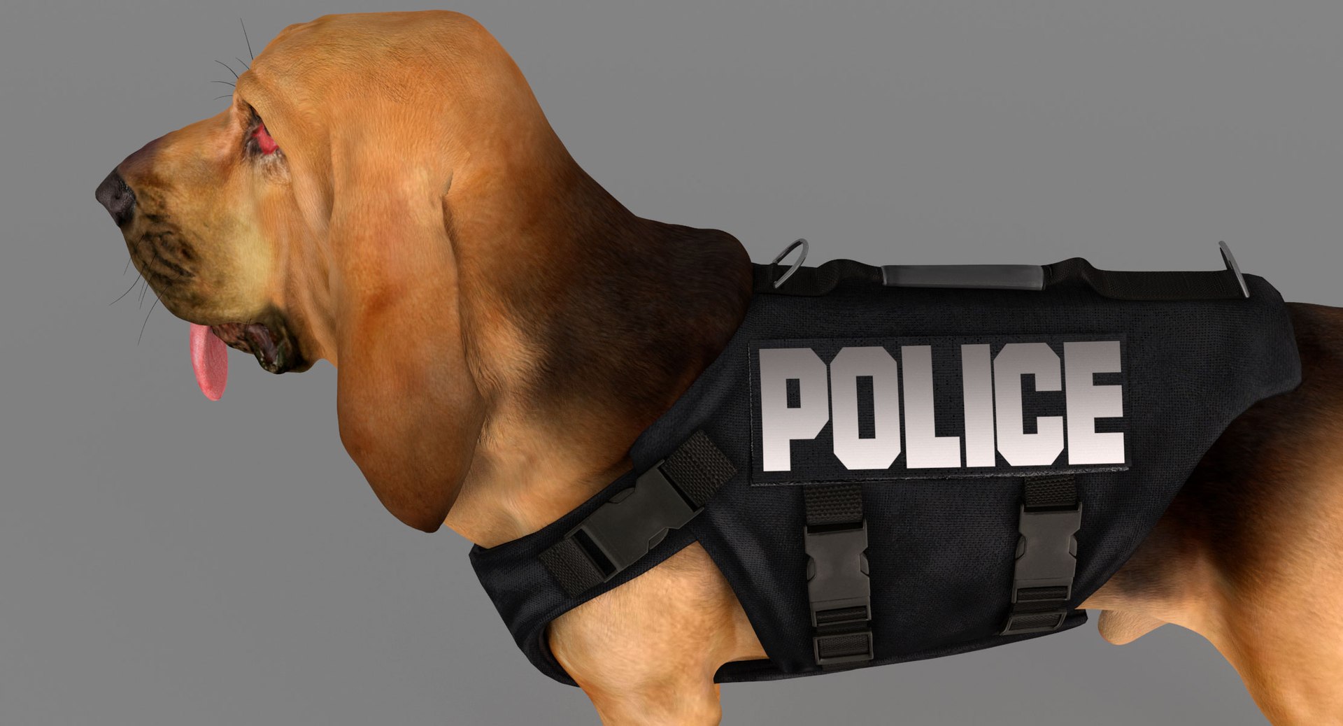 bloodhound black tan body armor 3d model https://p.turbosquid.com/ts-thumb/hO/nvuVXH/o1Lb91WJ/14/jpg/1438032703/1920x1080/fit_q87/92ccca69e562ba6b17acaf3e4bc39e702be4db01/14.jpg