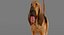 Bloodhound in Körperschutz (Black & Tan)