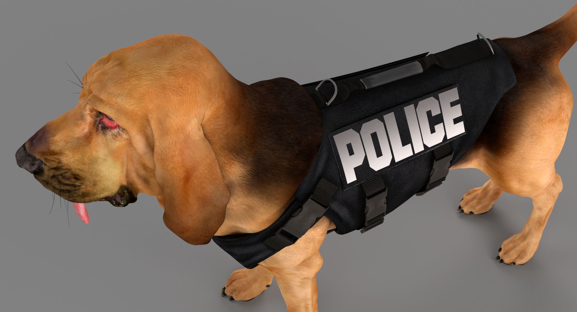 bloodhound black tan body armor 3d model https://p.turbosquid.com/ts-thumb/hO/nvuVXH/qYvRHLOr/11/jpg/1438032703/1920x1080/fit_q87/b5020b4bb6bb980863ba8742f5e0a8cfdd5f1c26/11.jpg