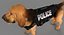 Bloodhound in Körperschutz (Black & Tan)