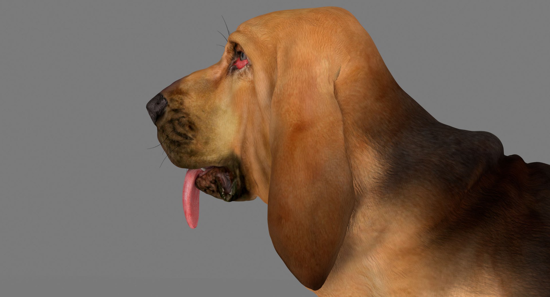 bloodhound black tan body armor 3d model https://p.turbosquid.com/ts-thumb/hO/nvuVXH/tcrTuA96/14/jpg/1436960080/1920x1080/fit_q87/ddcd7c5a10a91d71b2018578cff4cfd4c1895320/14.jpg