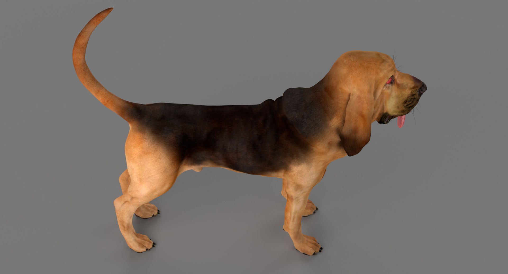 bloodhound black tan body armor 3d model https://p.turbosquid.com/ts-thumb/hO/nvuVXH/ulfAOnC5/5/jpg/1436960080/1920x1080/fit_q87/c5fb71b39ab29ae9e5c20d970e64ed60649b0f23/5.jpg