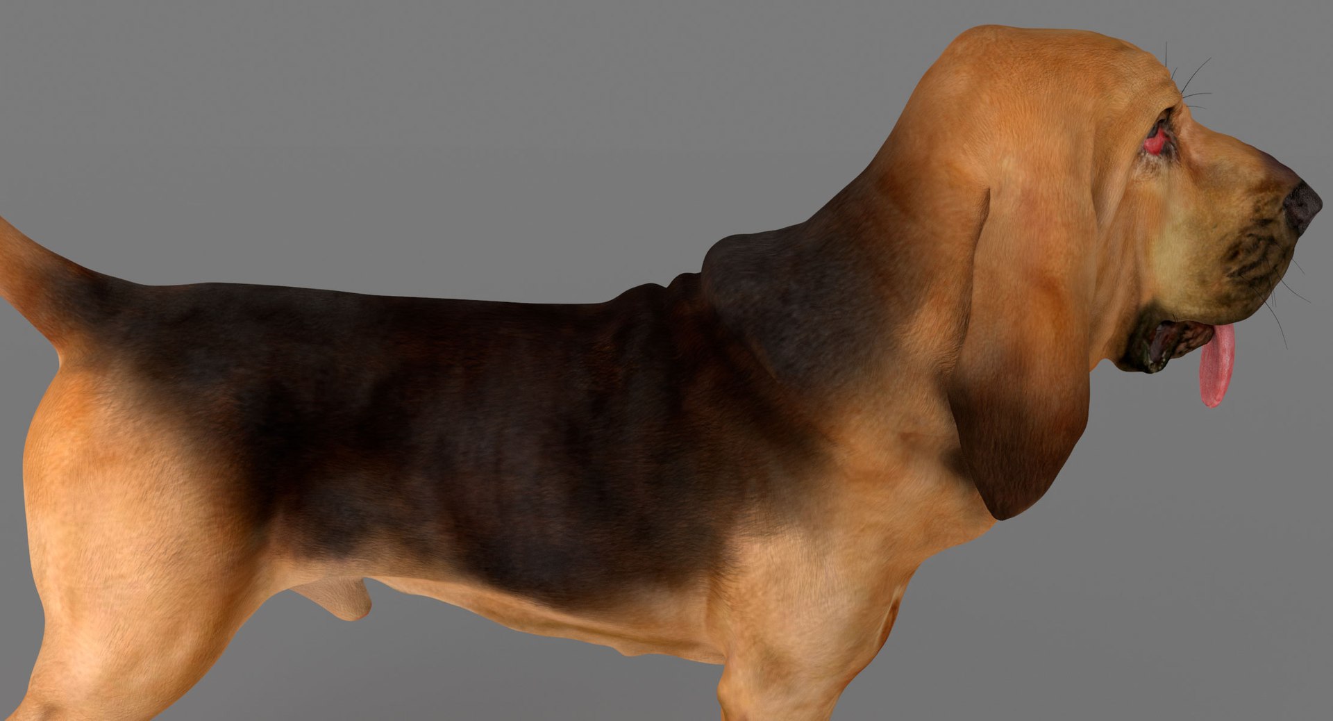 bloodhound black tan body armor 3d model https://p.turbosquid.com/ts-thumb/hO/nvuVXH/w6oekJWS/11/jpg/1436960080/1920x1080/fit_q87/99e3fd40e46bba4c4d4c7f6551e6e43ff3da3184/11.jpg