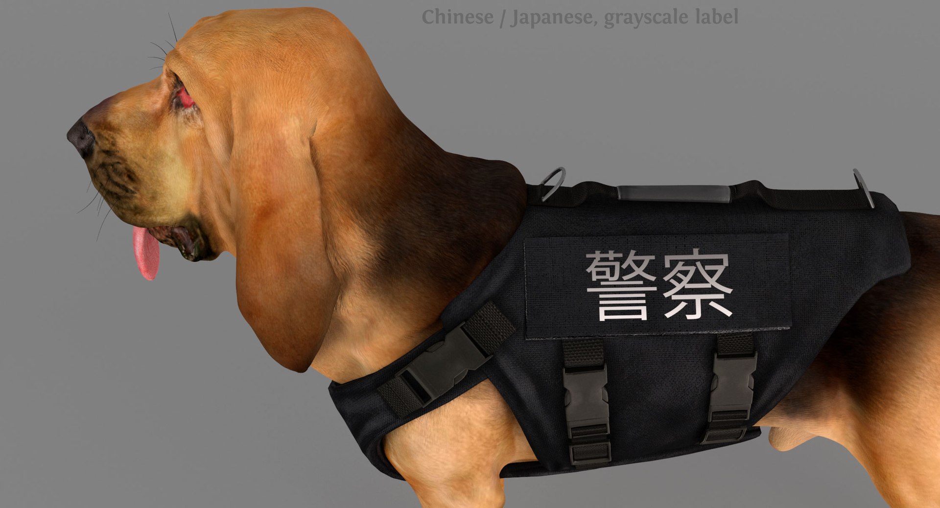 bloodhound black tan body armor 3d model https://p.turbosquid.com/ts-thumb/hO/nvuVXH/wIOs1I2J/c3/jpg/1438813000/1920x1080/fit_q87/ec5e8b9b9912a852f5aa21b4e0004d53641fadbe/c3.jpg