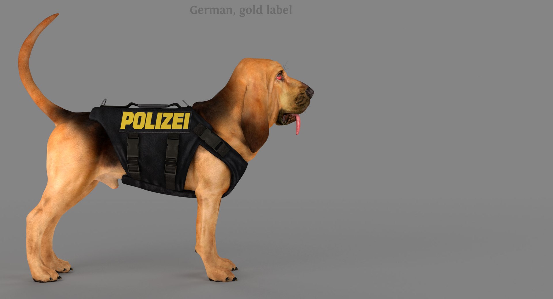 bloodhound black tan body armor 3d model https://p.turbosquid.com/ts-thumb/hO/nvuVXH/wib2OyaJ/g1/jpg/1438052264/1920x1080/fit_q87/4186078982294d108fdb8795c1524c9d824693f8/g1.jpg