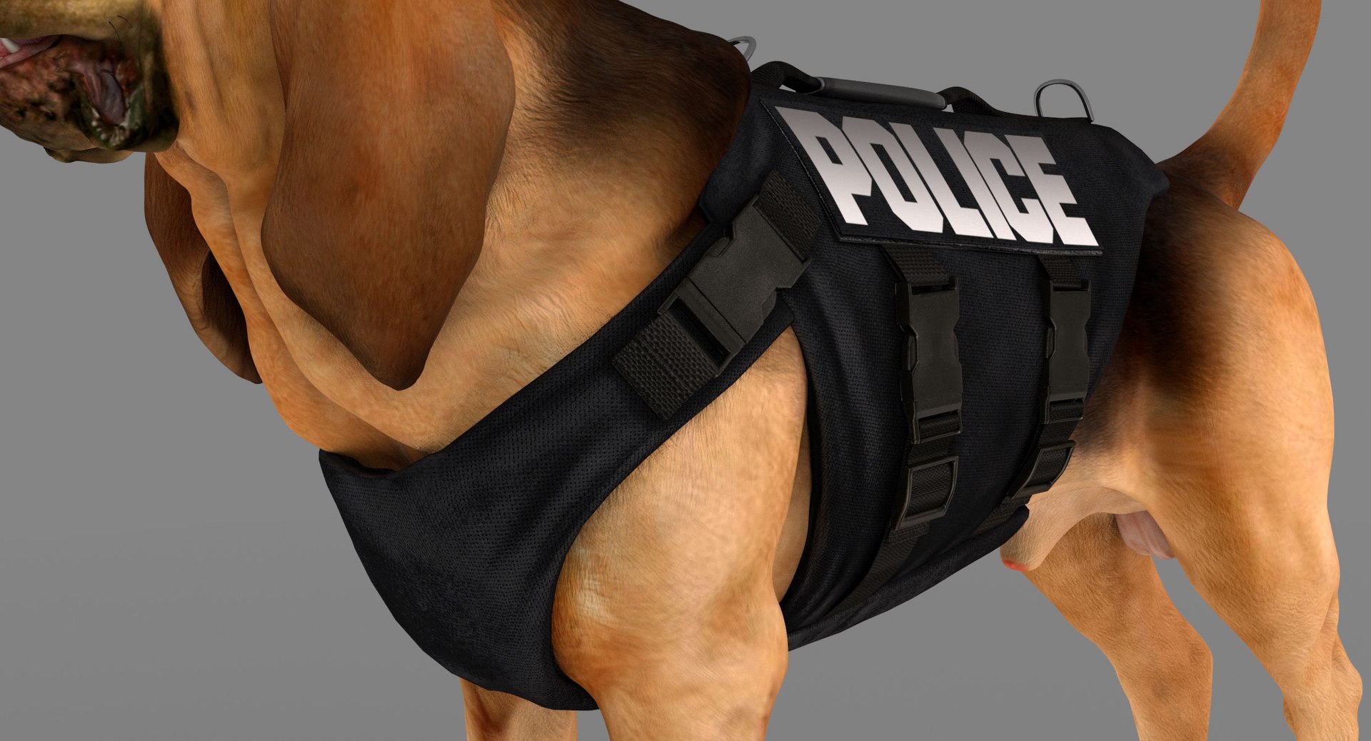 bloodhound black tan body armor 3d model https://p.turbosquid.com/ts-thumb/hO/nvuVXH/yLSHIEBw/10/jpg/1438032703/1920x1080/fit_q87/67f6311029e09889b76879c309b7f8562bb8d3b9/10.jpg
