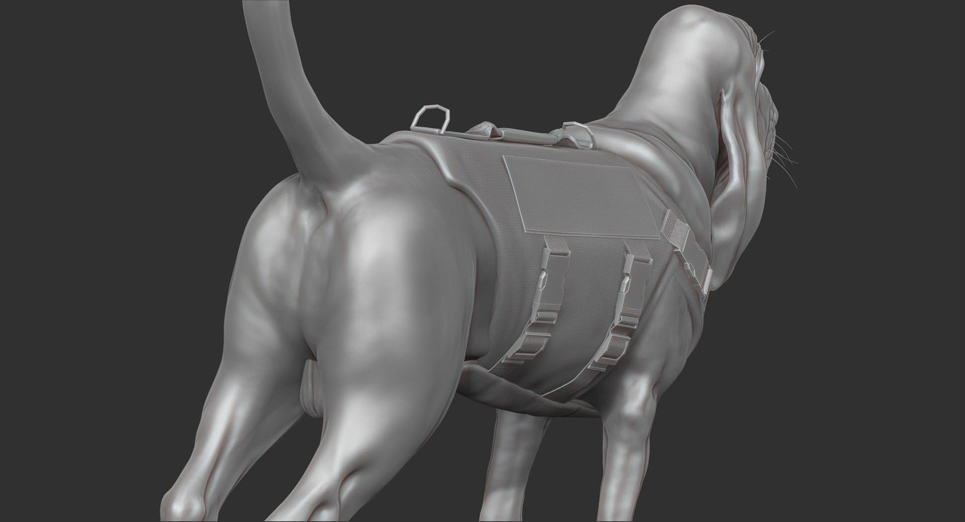 bloodhound black tan body armor 3d model https://p.turbosquid.com/ts-thumb/hO/nvuVXH/zxqz3BBR/10/jpg/1437838239/1920x1080/fit_q87/3e57c8ceff7cfc60d87ba044dcf8a52254864d31/10.jpg