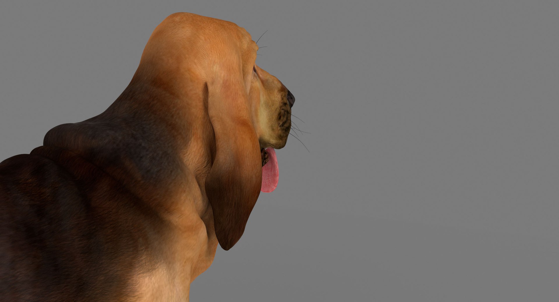 bloodhound black tan body armor 3d model https://p.turbosquid.com/ts-thumb/hO/nvuVXH/zzaut3Ip/16/jpg/1436960080/1920x1080/fit_q87/93e4dd87a02f8d269e5f87a7db6f084e6be2bd0e/16.jpg