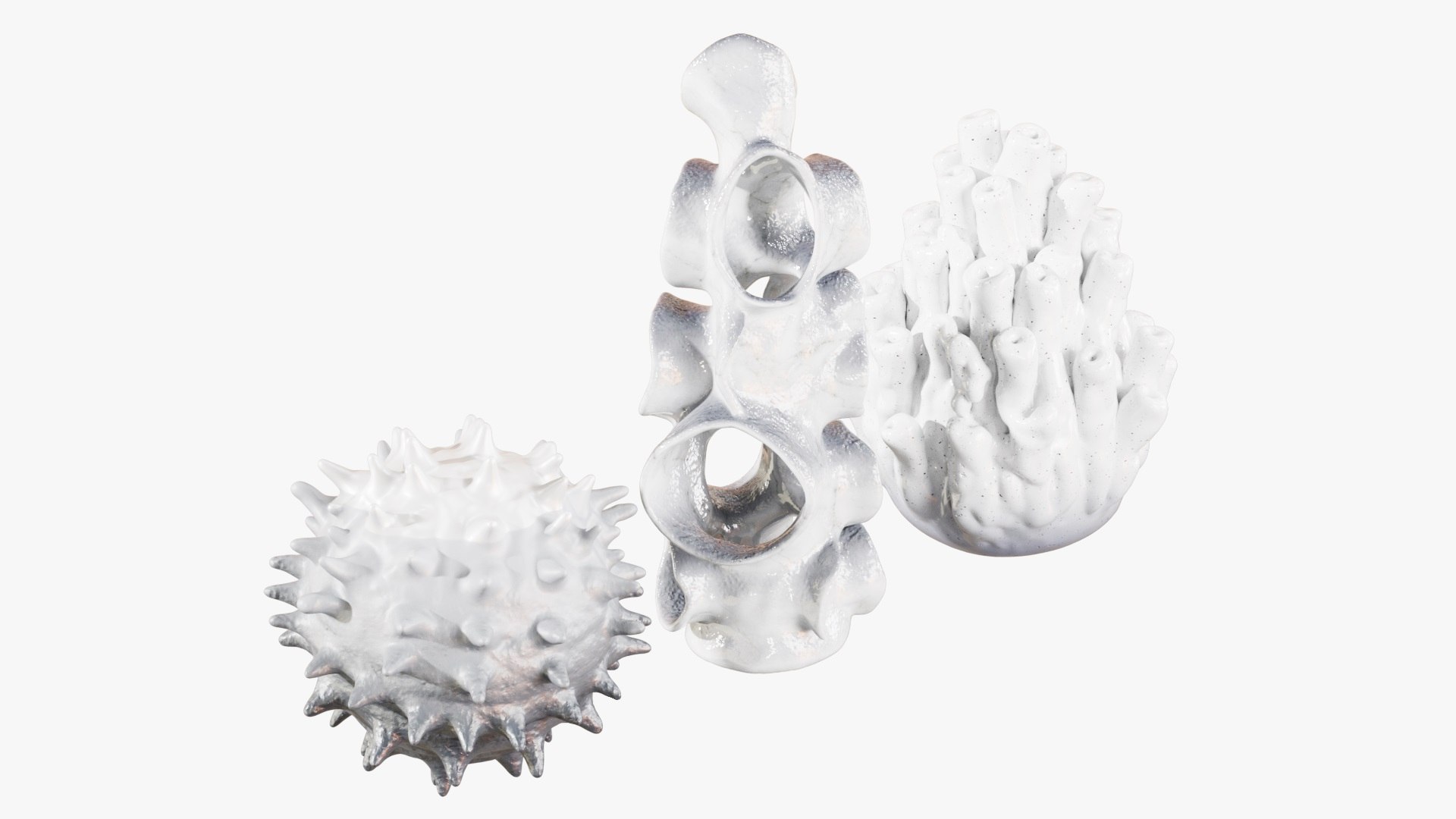 Marine-themed decor 3D model https://p.turbosquid.com/ts-thumb/hO/onVReb/gD/07/jpg/1779652683/1920x1080/fit_q87/63e03ae9a050ddf1f54bccc8bc0ce6000adeb44a/07.jpg