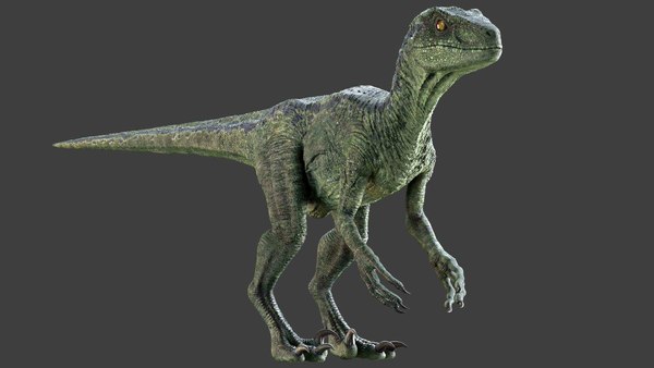 realistic pteranodon rigged 3d model