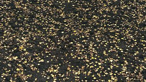 3D autumn foliage material 05 model