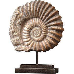 Nautilus Shell Sculpture Ammonite Mounted Nautilus Statuette 3D model model