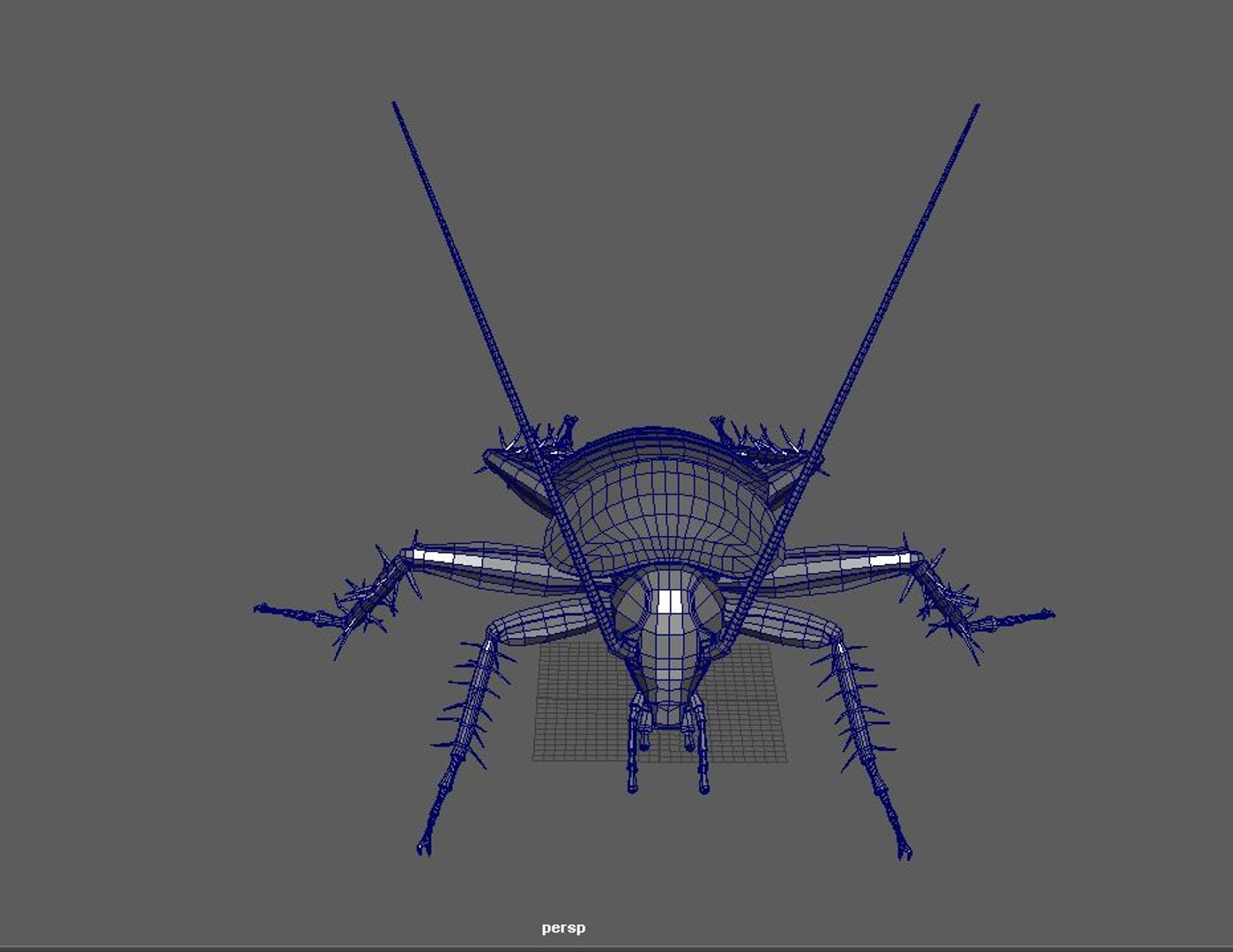 Cockroach Set Model - TurboSquid 1413371