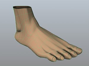 foot 3d obj