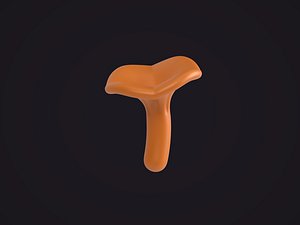 Orange Chanterelle Mushroom