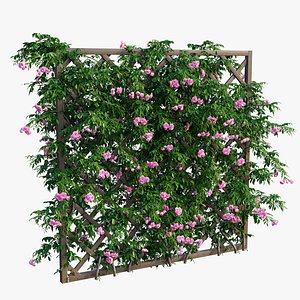 3D model plant set 32