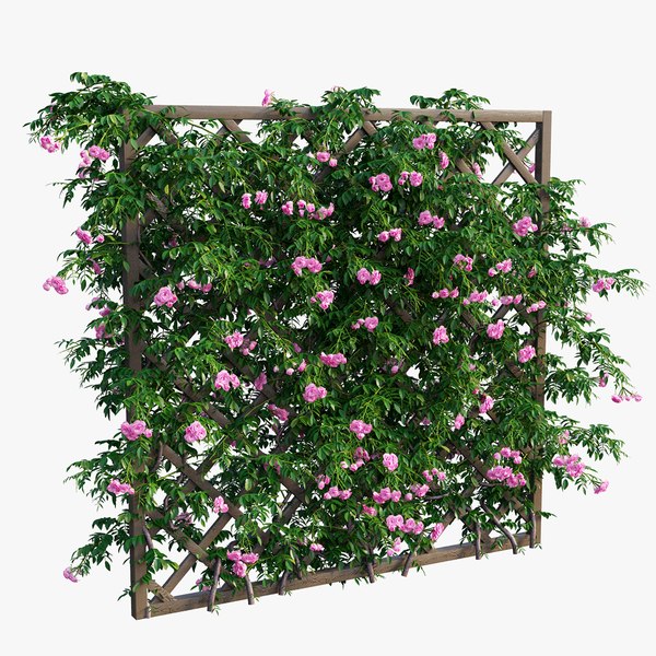 modelo 3d Conjunto de plantas de rosas 32 - TurboSquid 1636449