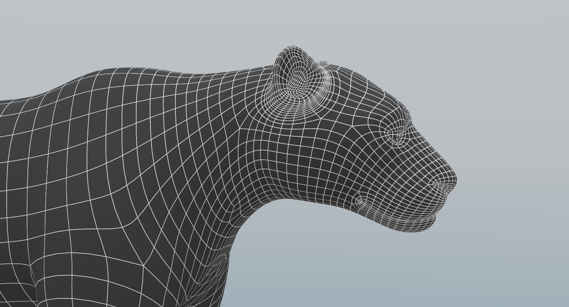 3D model leopard v-ray https://p.turbosquid.com/ts-thumb/hP/IVsMis/G10pYv4c/leopardwire5/png/1511504866/1920x1080/fit_q87/b02b1fad39d840fce435bef602313e1c263f9a12/leopardwire5.jpg