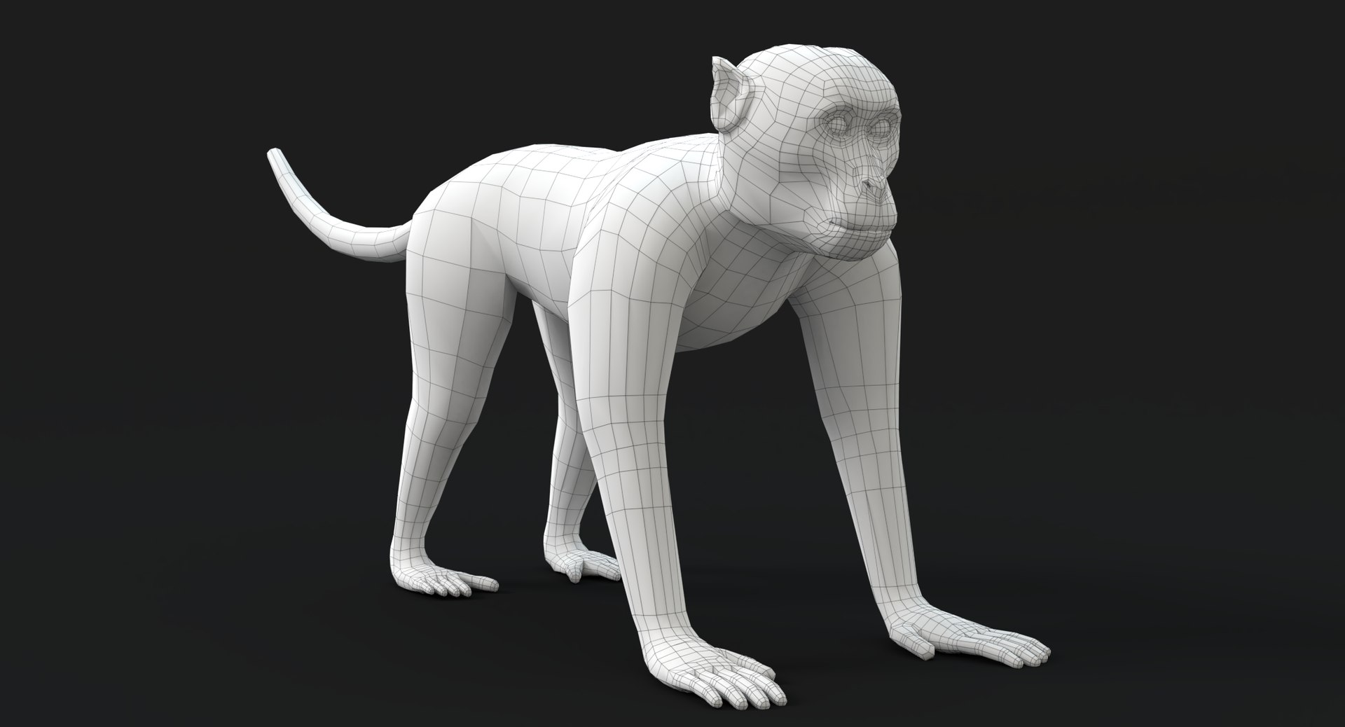 3D monkey animations 2 model https://p.turbosquid.com/ts-thumb/hP/O1hexc/3VQwWEEu/wireframe_2/png/1551911275/1920x1080/fit_q87/0372a232dac68c873b24af9ed28364c1d7ee2d6c/wireframe_2.jpg