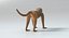 3D monkey animations 2 model