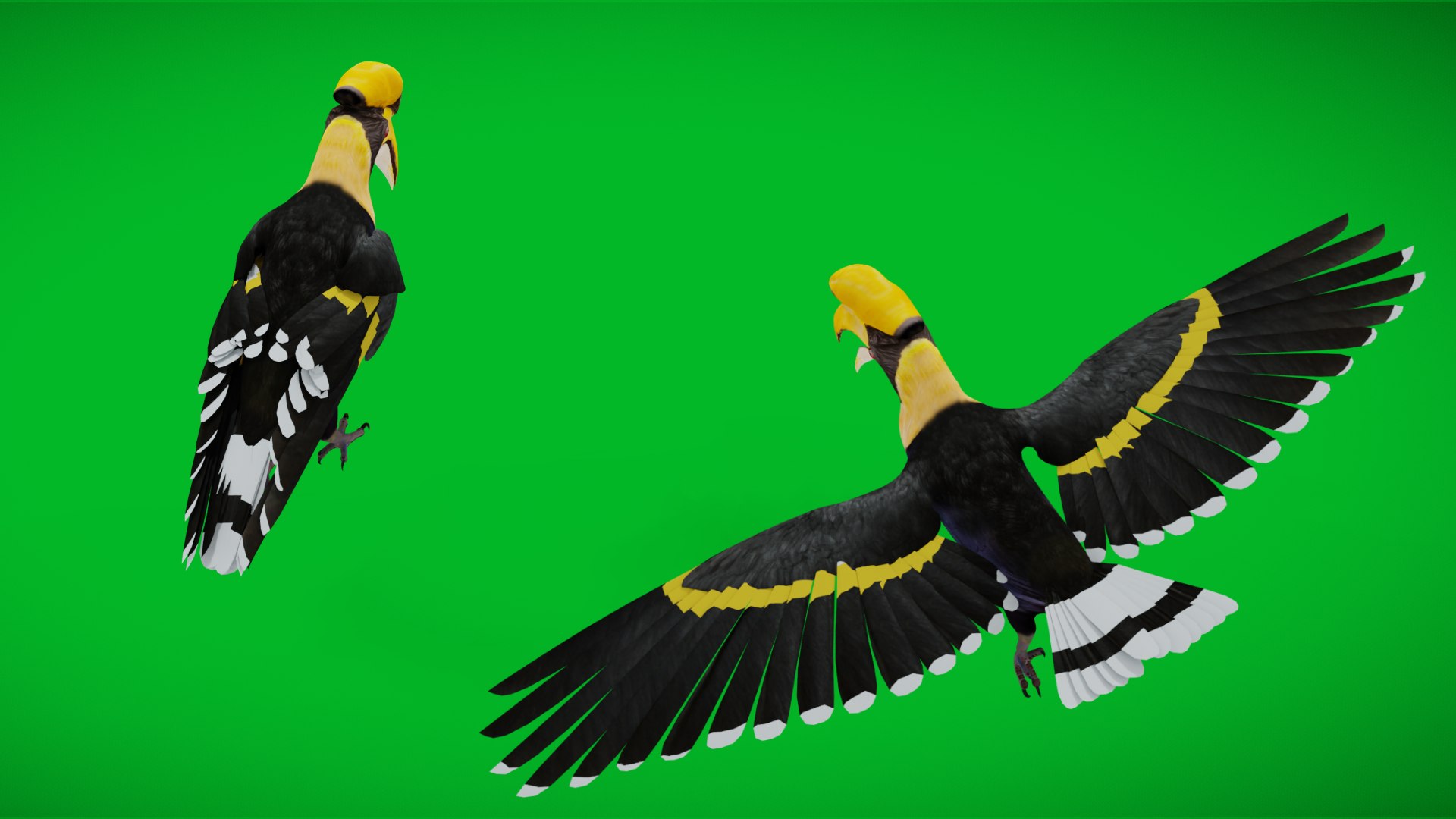 Great Hornbill Bird 3D model https://p.turbosquid.com/ts-thumb/hP/Te4OIY/06/animals_3d_acopy/png/1760119975/1920x1080/fit_q87/3f4d26d8ba84460b462290172eac0eab5c249836/animals_3d_acopy.jpg