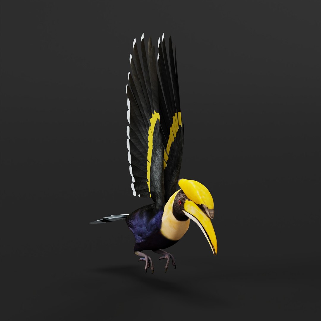 Great Hornbill Bird 3D model https://p.turbosquid.com/ts-thumb/hP/Te4OIY/0g/greathornbillarmature/jpg/1760120011/1920x1080/fit_q87/dd12f9476e448ee1ea835162202d86b29563bd23/greathornbillarmature.jpg