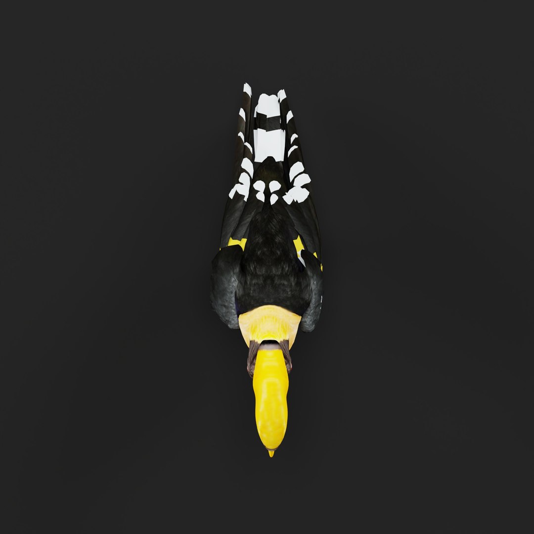 Great Hornbill Bird 3D model https://p.turbosquid.com/ts-thumb/hP/Te4OIY/3o/greathornbillarmature_0010/jpg/1760120008/1920x1080/fit_q87/0426ece369545ed8c42f4777d2b21ea2e10c94b2/greathornbillarmature_0010.jpg