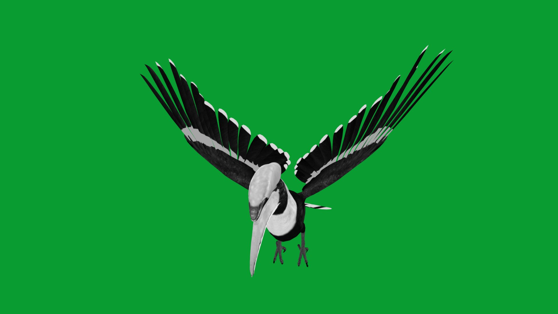 Great Hornbill Bird 3D model https://p.turbosquid.com/ts-thumb/hP/Te4OIY/6C/great_hornbills17/png/1760120048/1920x1080/fit_q87/c81157cb53752eb11b7e20a4070d20fee3000908/great_hornbills17.jpg