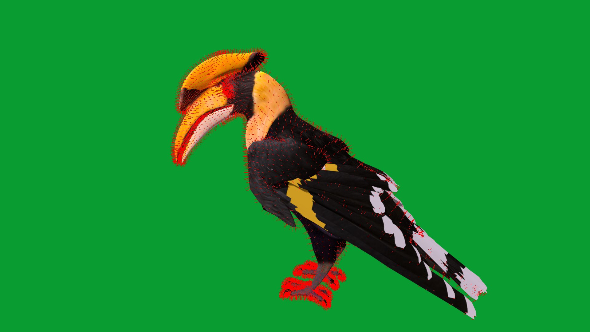 Great Hornbill Bird 3D model https://p.turbosquid.com/ts-thumb/hP/Te4OIY/Bi/great_hornbills24/png/1760120018/1920x1080/fit_q87/e029dc348f6a048115f216f8cbddb14ea3c29454/great_hornbills24.jpg