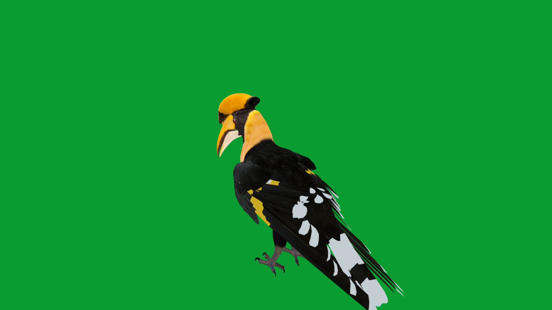 Great Hornbill Bird 3D model https://p.turbosquid.com/ts-thumb/hP/Te4OIY/Bk/great_hornbills6/png/1760120037/1920x1080/fit_q87/9dc116f26baaf0274d8307dacecd792b07d4bb6e/great_hornbills6.jpg