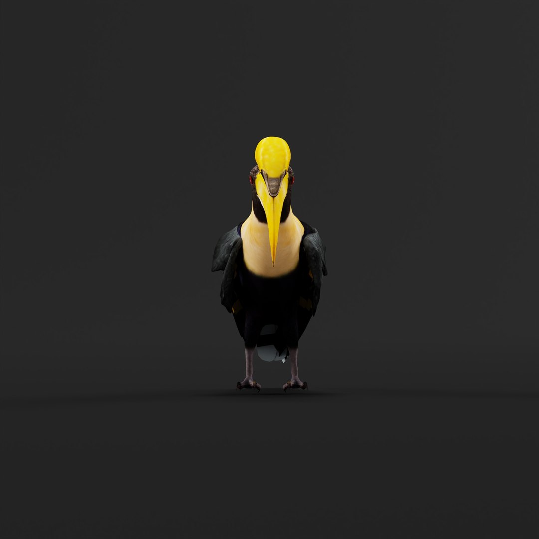 Great Hornbill Bird 3D model https://p.turbosquid.com/ts-thumb/hP/Te4OIY/CJ/greathornbillarmature_0008/jpg/1760120007/1920x1080/fit_q87/d4dba6ceffdca504320c2bffe292f55a8da661a5/greathornbillarmature_0008.jpg