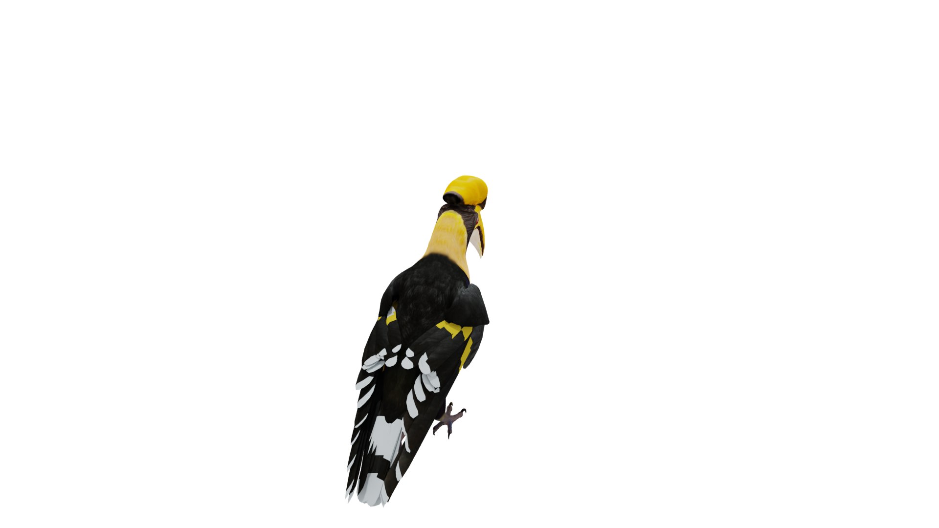Great Hornbill Bird 3D model https://p.turbosquid.com/ts-thumb/hP/Te4OIY/Y1/great_hornbill_preview/png/1760120024/1920x1080/fit_q87/9868f1ab20b7a37985a17898d365c7810dcaa988/great_hornbill_preview.jpg