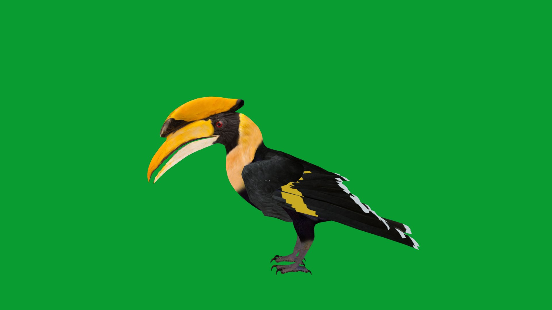 Great Hornbill Bird 3D model https://p.turbosquid.com/ts-thumb/hP/Te4OIY/i8/great_hornbills4/png/1760120034/1920x1080/fit_q87/f23392544861665104186b3e8eb383855e31b8dc/great_hornbills4.jpg