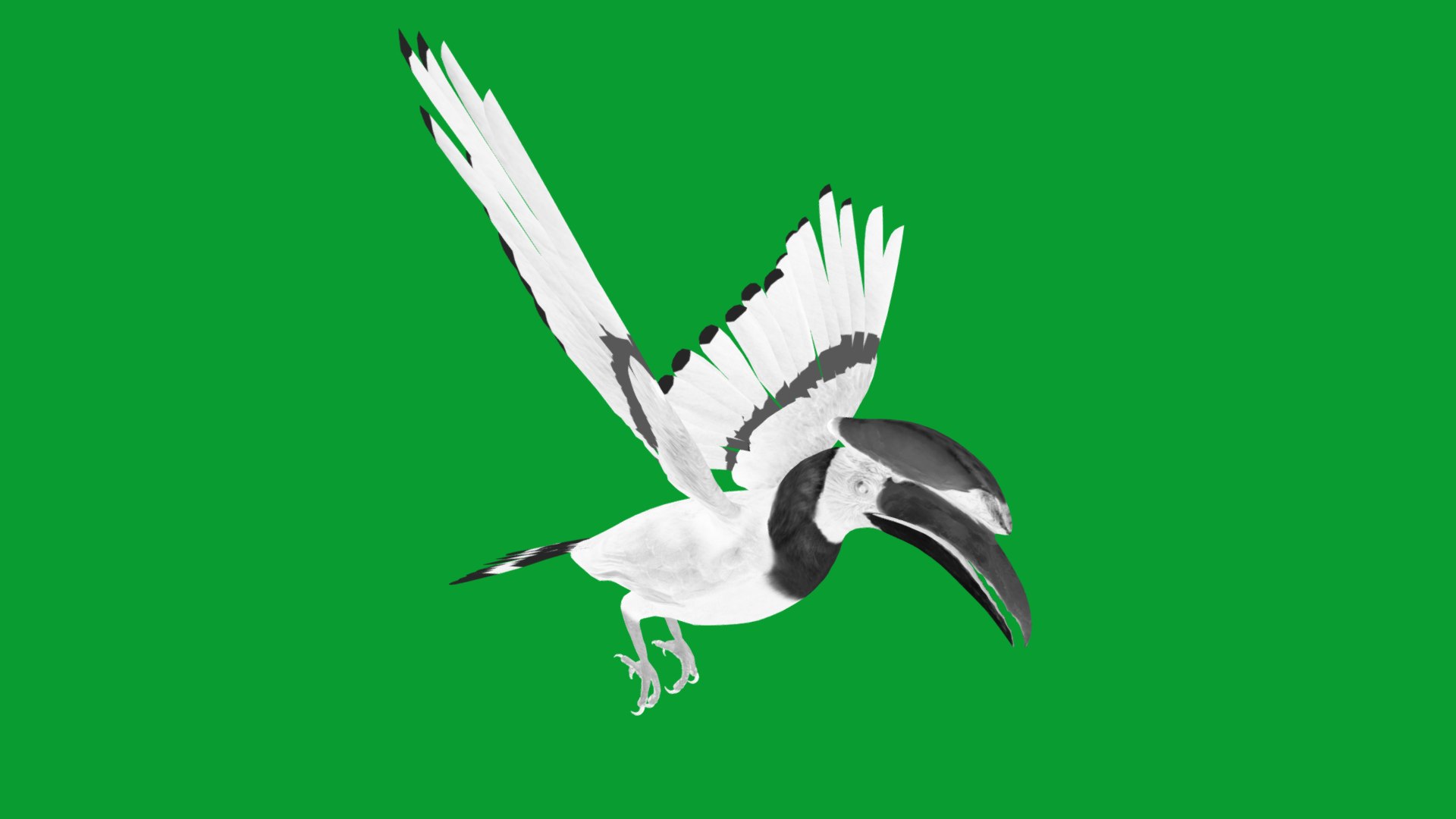 Great Hornbill Bird 3D model https://p.turbosquid.com/ts-thumb/hP/Te4OIY/md/great_hornbills15/png/1760120045/1920x1080/fit_q87/4ea0a3d30bd17fb9a77cc91daec4b0d7bdffb0f9/great_hornbills15.jpg